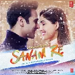 Sanam Re - Title Track