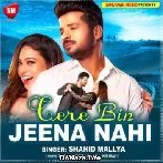 Tere Bin Jeena Nahi (Hindi) - Shahid Mallya