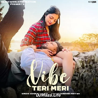 Vibe Teri Meri - Ashwani Machal