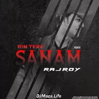 Bin Tere Sanam Mar Mitenye Hum Remix - DJ Raj Roy