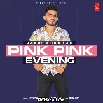 Pink Pink Evening - Jassi Chhokar