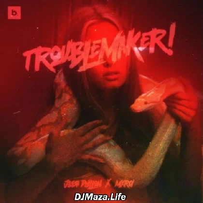 Trouble Maker - Jassa Dhillon