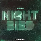 Nightbird - DJ Snake
