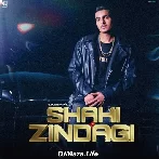 Shahi Zindagi - Sagar Pop