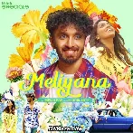 Meliyana - Aswin Ram
