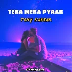 Tera Mera Pyaar (Lofi) - Tony Kakkar