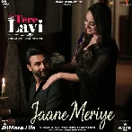 Jaane Meriye - Tere Layi