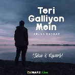 Teri Galliyon Mein - Slow and Reverb