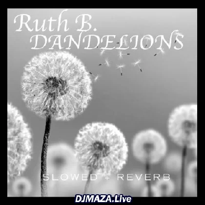 Dandelions - Slowed Reverb