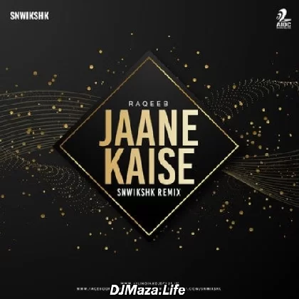 Jaane Kaise (Remix) - Raqeeb - SNWIKSHK