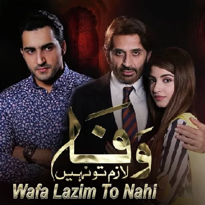Wafa Lazim to Nahi - Ameer Ali