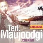 Teri Maujoodgi - Ash King