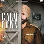 Calm Down - Barinder Dhapai