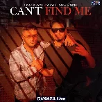 Cant Find Me - Yo Yo Honey Singh