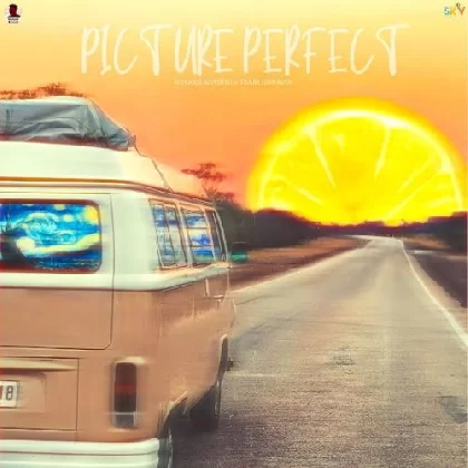 Picture Perfect - Navaan Sandhu