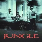 Jungle - Inderpal Moga