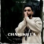 Chamikilla - Tegi Pannu