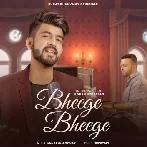 Bheege Bheege - Mohammed Irfan