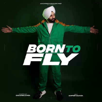 Born To Fly - Sukshinder Shinda