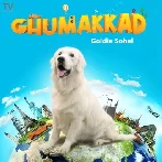 Ghumakkad - Goldie Sohel