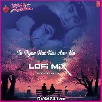 Tu Pyar Hai Kisi Aur Ka Lofi Mix
