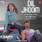 Dil Jhoom - Crakk