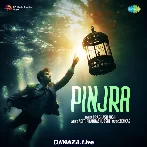 Pinjra - Prabhash Joshi