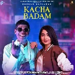 Kacha Badam - Bhuban Badyakar ft Amit Dhull