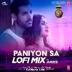 Paniyon Sa Lofi Mix - Anik8