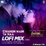 Chahun Main Ya Naa Lofi Mix - Anik8