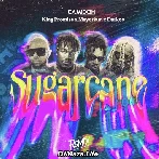 Sugarcane (Remix) - Camidoh