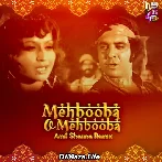 Mehbooba O Mehbooba - Amit Sharma Remix