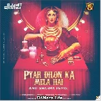Pyar Dilon Ka Mela - Amit Sharma Remix