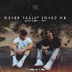 Never Really Loved Me - Kygo ft Dean Lewis
