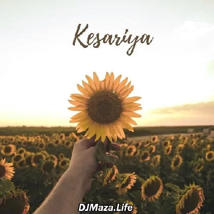 Kesariya (Cover) - Proyash